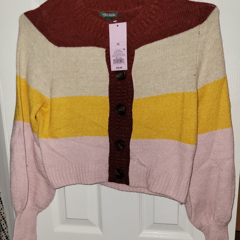 Wild Fable Fall sweater